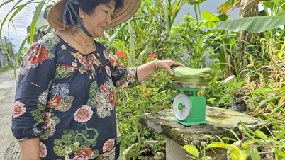 무게 측정, 계산 및 메콩 삼각주 시장의 문화