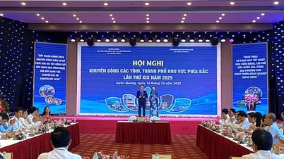 Pelarasan fleksibel dan pelaksanaan dasar penggalakan industri tepat pada masanya