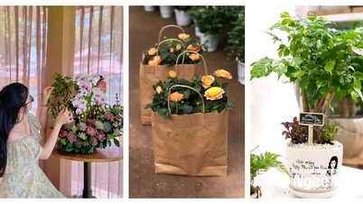 10月20日のゲアン市場:ミニチュア鉢植え、胡蝶蘭、自然派化粧品が「王者」