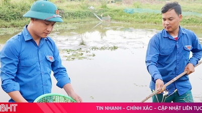 Mountainous farmers develop economy from "black gold"