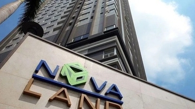 A Inspetoria do Governo descobriu uma série de violações na emissão de títulos por muitos bancos e empresas.