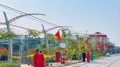 Warna bunga Tuong Phieu: Pengalaman unik
