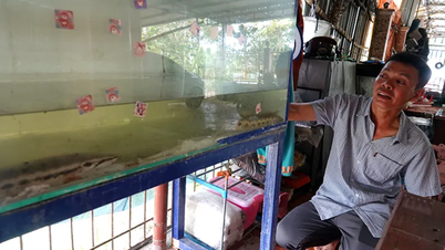 Mulakan perniagaan dan kaya dari 2 kilo ikan