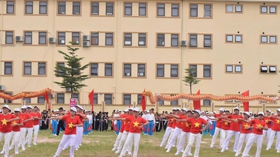 Nearly 1,000 people participated in the Quang Bi Commune Sports Festival