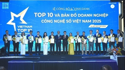 Mengumumkan peta perusahaan teknologi digital Vietnam 2025