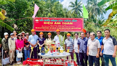 Vinh My commune memulai pembangunan jembatan Dieu Am Toan
