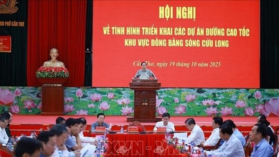 Thủ tướng Phạm Minh Chính: Triển khai các dự án hạ tầng tại Đồng bằng sông Cửu Long là đòi hỏi của trái tim