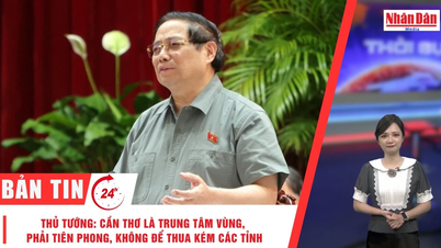 [Video] 24-Stunden-Nachrichten vom 19. Oktober 2025: Premierminister Pham Minh Chinh: „Can Tho ist ein regionales Zentrum, muss ein Pionier sein und darf anderen Provinzen nicht nachstehen.“