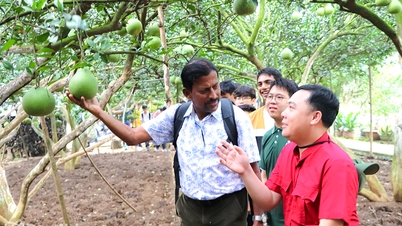 Building the first typical tourism product of Dong Nai