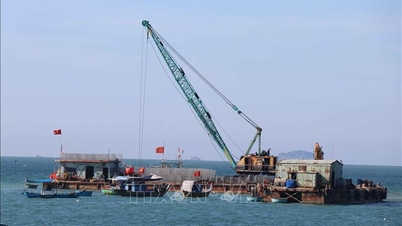 Encontrar soluções para o problema de proteger o litoral de Hoi An contra problemas de erosão