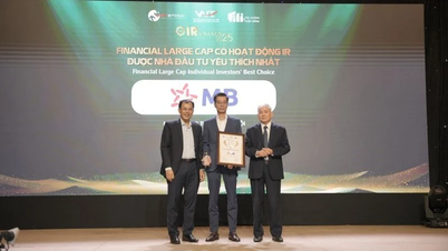 Los premios IR Awards 2025 reconocen a las empresas con las mejores actividades de IR en bolsa
