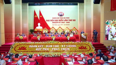 Ha Tinh vatanını giderek daha zengin ve medeni hale getirmek için kararlı