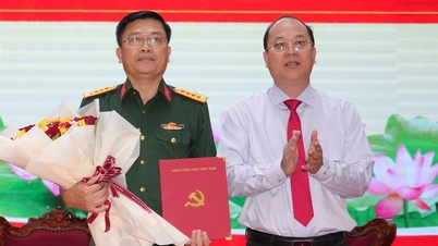 Ca Mau mengumumkan keputusan Sekretariat tentang pekerjaan personel, tinjauan 9 bulan dan penempatan tugas untuk kuartal keempat tahun 2025