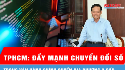 លេខាគណៈកម្មាធិការបក្សទីក្រុងហូជីមិញ លោក Tran Luu Quang៖ ជំរុញការផ្លាស់ប្តូរឌីជីថលក្នុងប្រតិបត្តិការរបស់រដ្ឋាភិបាលមូលដ្ឋានពីរកម្រិត។