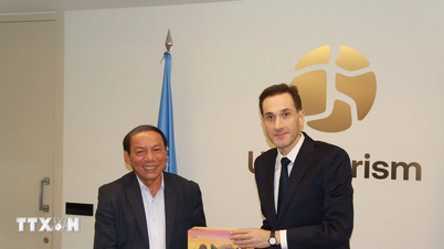 Vietnam está interesado en fortalecer la cooperación con la Organización de las Naciones Unidas para el Turismo.