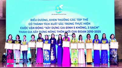 Khanh Hoa memiliki 1 kolektif dan 3 individu yang menerima penghargaan nasional untuk gerakan wanita.