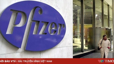 Pfizer agrees to reduce drug prices to delay tax imposition