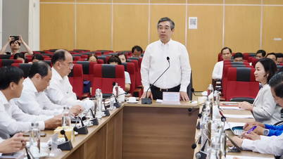 호치민시의 의료에 대한 공공 투자는 적용 범위가 넓고 효율성이 매우 높습니다.