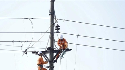 Hà Tĩnh: Công ty Điện lực tập trung mọi nguồn lực để sớm về đích các chỉ tiêu