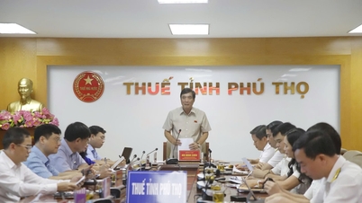 គណៈប្រតិភូរដ្ឋសភាខេត្ត Phu Tho បានប្រមូលមតិលើសេចក្តីព្រាងច្បាប់ស្តីពីការគ្រប់គ្រងសារពើពន្ធ (វិសោធនកម្ម) និងច្បាប់ស្តីពីពន្ធលើប្រាក់ចំណូលផ្ទាល់ខ្លួន (ធ្វើវិសោធនកម្ម)។