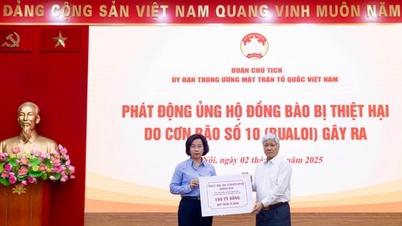 Hanoi City steunt 100 miljard VND om mensen te helpen die getroffen zijn door storm nr. 10 (Bualoi)