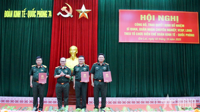 Đoàn Kinh tế - Quốc phòng 74: Khen thưởng 246 tập thể, cá nhân có thành tích xuất sắc trong thi đua