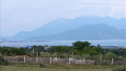 Proiectul de energie nucleară Ninh Thuan - Ultimul articol