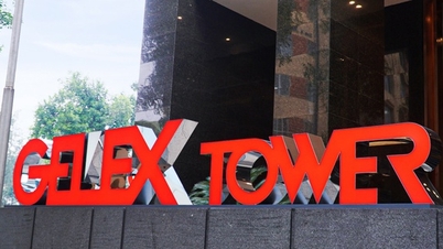 CEO Nguyen Van Tuan's mother is about to spend nearly 700 billion VND to buy 12 million Gelex shares.