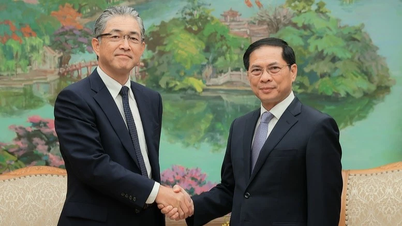 Der stellvertretende Premierminister Bui Thanh Son empfing den Generaldirektor des globalen Energie- und Infrastruktursektors der Marubeni Corporation (Japan), Naoki Ito