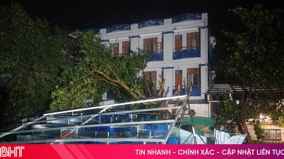 Η BSH Insurance κατέγραψε περισσότερες από 400 ζημίες μετά την καταιγίδα Νο. 10 στην Χα Τιν και σε άλλες επαρχίες.