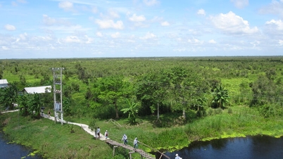 Bosque de U Minh