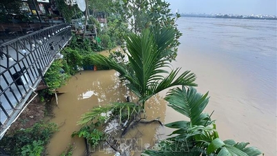 Nước sông Hồng lên mức báo động 1, nhiều sông vượt báo động 3