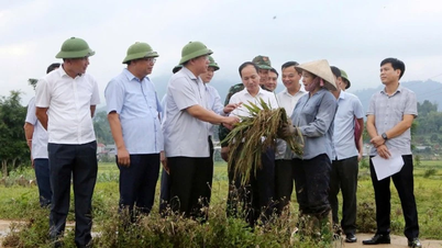 Der Vorsitzende des Volkskomitees der Provinz Phu Tho, Tran Duy Dong, inspizierte die Reaktionsarbeiten auf Sturmflut Nr. 10.