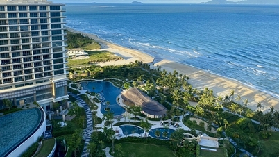 La croissance du tourisme international stimule l'industrie hôtelière et touristique au Vietnam