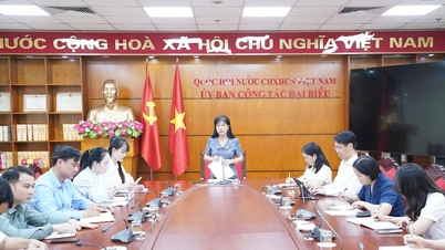 The Office of the National Election Council met to deploy election preparation work.