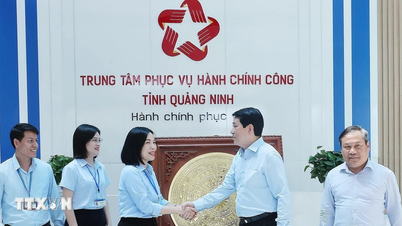 Quang Ninh creates development momentum from digital government