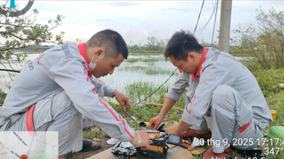 Viettel Lao Cai ផ្តោតលើការដោះស្រាយបញ្ហាទូរគមនាគមន៍ បន្ទាប់ពីព្យុះលេខ១០