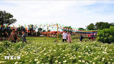 Dong Nai builds community tourism village associated with agriculture for the first time