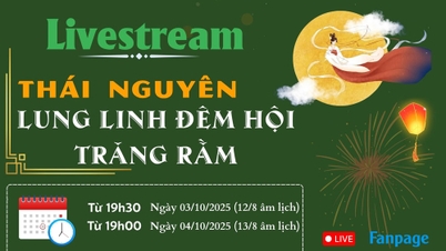 Strim langsung program 'Thai Nguyen - Malam perayaan bulan purnama yang berkilauan'