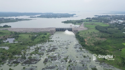 Tri An Hydropower Plant increases water flow through spillway