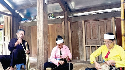 Simbol identiti Muong