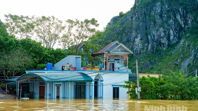 Ninh Binh: Områden längs floden reagerar proaktivt på stigande översvämningsvatten