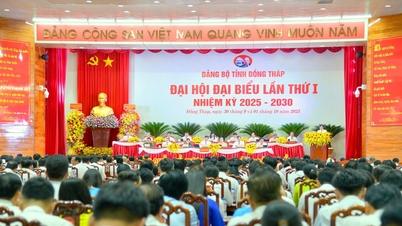 Le Comité du Parti du Congrès de la province de Dong Thap a finalisé le contenu et les programmes proposés.