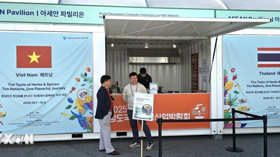 Vietnamese and ASEAN cuisine shines at International Food Exhibition in Korea