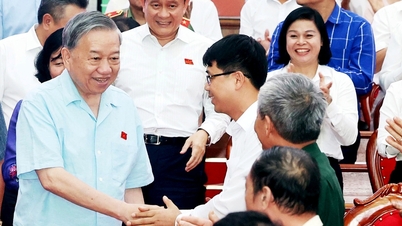 លេខាមិនមែនជាអ្នកក្នុងស្រុកទេ៖ ការពារភាពអវិជ្ជមាន ភាពជាខ្នងបង្អែក និងមូលដ្ឋាននិយមពីឫសគល់