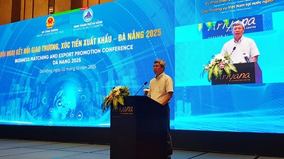Da Nang versterkt handelsbetrekkingen en bevordert export