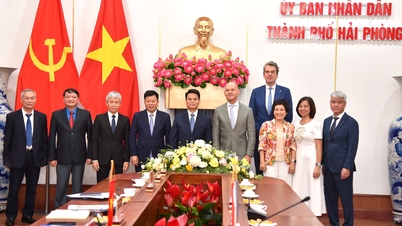 Strengthening cooperation between Hai Phong and Dutch businesses and partners