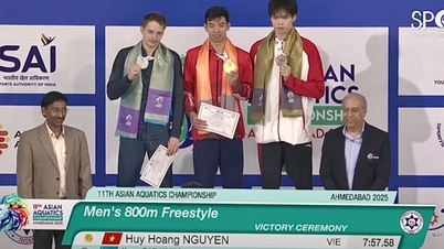 Plavec Nguyen Huy Hoang získal dvě zlaté medaile, vietnamské plavání se umístilo na 4. místě v Asii