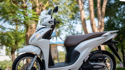 ২০২৫ সালের অক্টোবরে ভিশন গাড়ির সর্বশেষ দাম: এখনও উচ্চ চিহ্ন বজায় রয়েছে