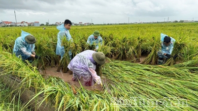 Hung Yen៖ សមាជិក​សហជីព និង​យុវជន​ជិត ២០០០ នាក់​គាំទ្រ​ប្រជាជន​ដើម្បី​ជម្នះ​ផលវិបាក​នៃ​ព្យុះ​លេខ ១០